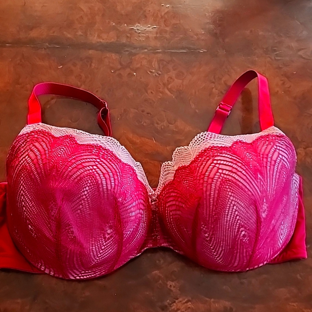 Cacique Lace Bra in Burgundy and Pink - 42DDD